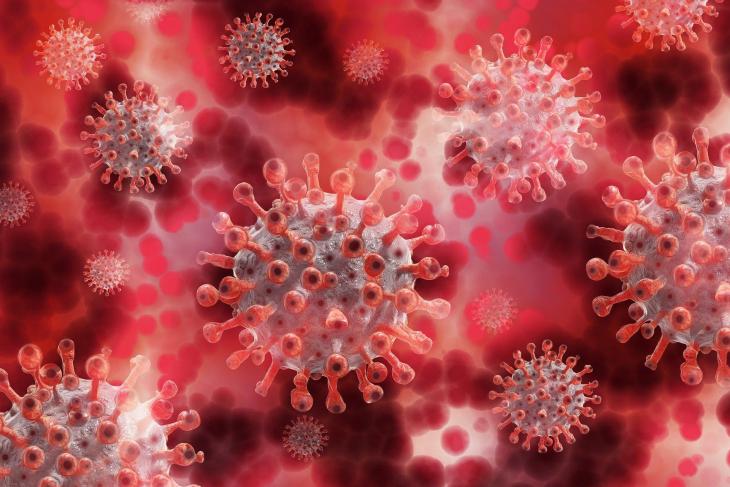 CORONAVIRUS